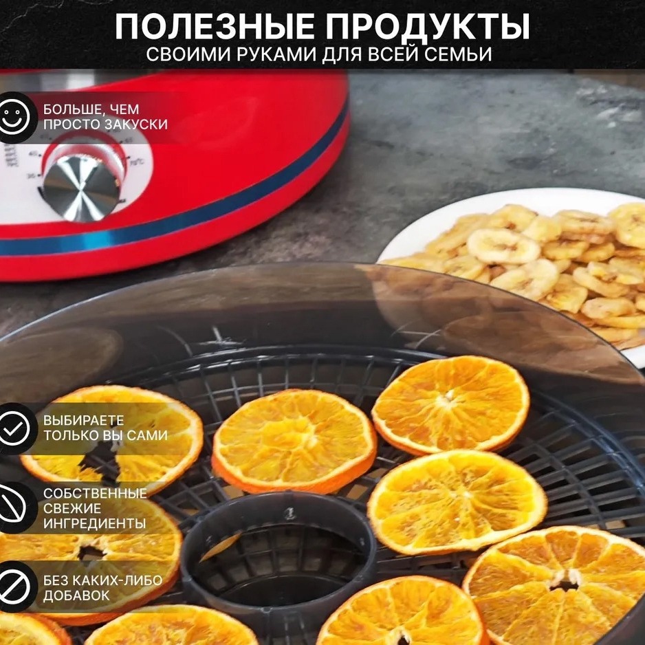 Household small fruit drying m - Food Dehydrator Snacks review and price